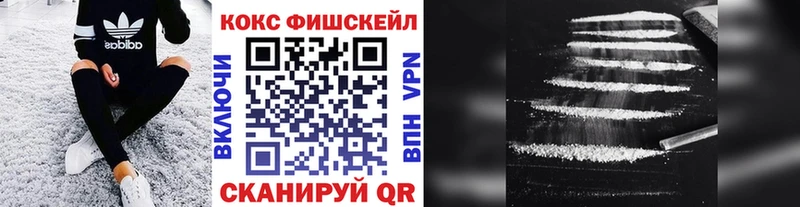 где купить наркотик Нарьян-Мар COCAIN Fish Scale