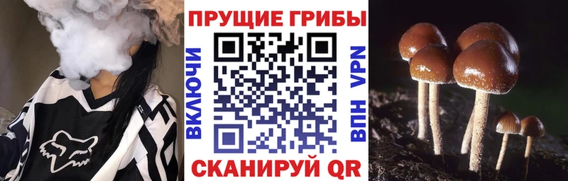 наркошоп  Нарьян-Мар  мега ТОР  Псилоцибиновые грибы MAGIC MUSHROOMS 